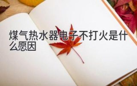 煤气热水器点火失败？可能是这些原因在作怪！