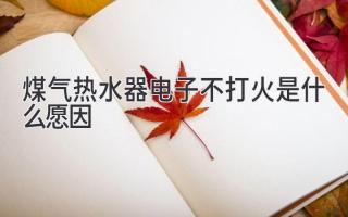 煤气热水器电子不打火是什么愿因