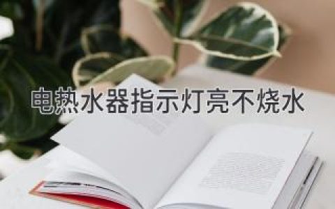 电热水器指示灯亮不烧水，是怎么回事？如何解决？