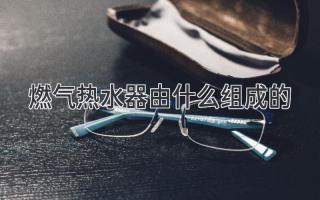 燃气热水器由什么组成的