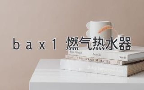 Bax1 燃气热水器：安全舒适，热水相伴