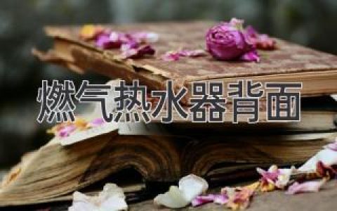 燃气热水器背后的秘密：安全隐患和保养指南