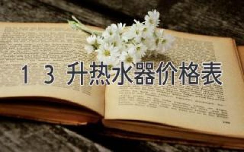 13升热水器价格表：最新报价大全，助你高效选购