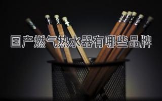 国产燃气热水器有哪些品牌