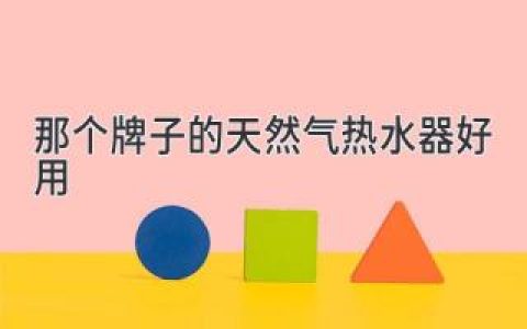 购买天然气热水器之前必看攻略：哪个牌子的天然气热水器好用？