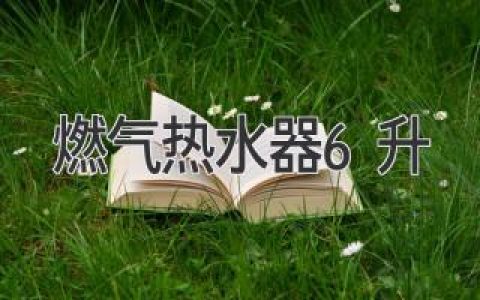 小户型浴室的最佳选择：6升燃气热水器全方位解析