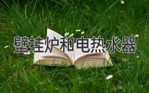 壁挂炉和电热水器的抉择：哪种家庭取暖和热水解决方案更佳？