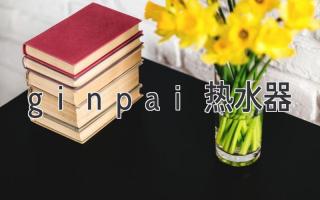 ginpai热水器