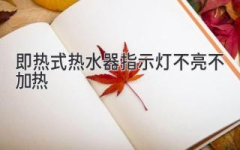 即热式热水器故障排查：指示灯不亮，水也不热怎么办？