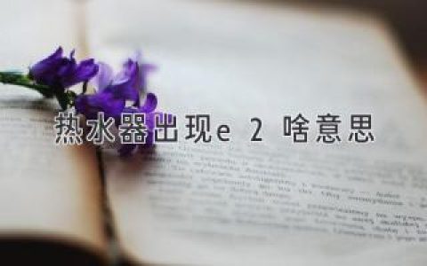 热水器显示 E2 故障代码含义及解决方法详解