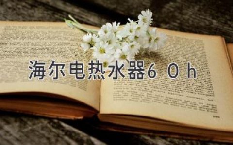 海尔电热水器 60H：高能效、耐用、智能的家庭热水解决方案