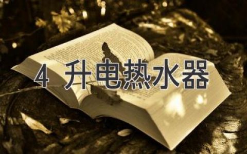 小空间大能量：适合单身或小家庭的完美热水解决方案