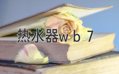 热水器wb7