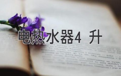 电热水器4升：小巧实用的家庭必备