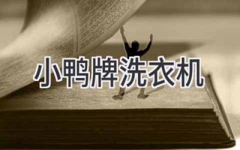 小鸭洗衣机：让洗衣服不再是一件麻烦事