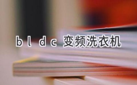 洗衣新体验：揭秘BLDC变频洗衣机的优势与革新