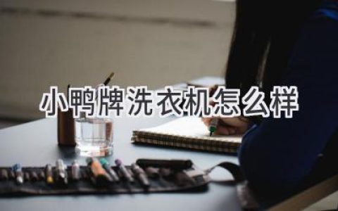 小鸭洗衣机：品质与性能的完美融合，值得信赖的选择