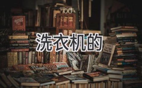 洗衣机选购指南：告别繁琐，轻松拥有洁净生活