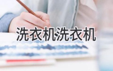 洗衣机的秘密：从内到外，一探究竟