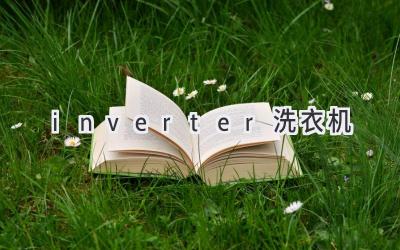 inverter洗衣机