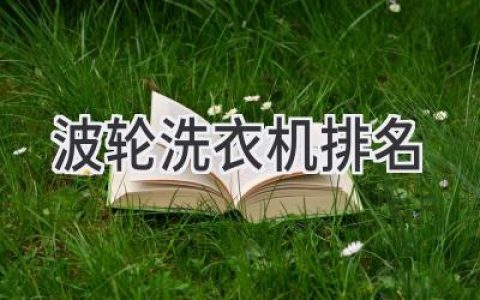 2024 年最佳波轮洗衣机推荐：清洁力、耐用度和性价比之王