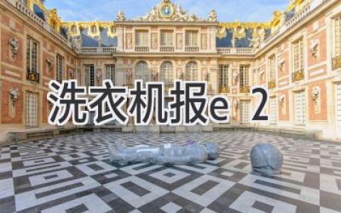 洗衣机故障代码E2：原因解析和解决方案