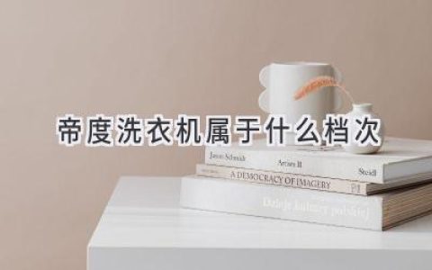 帝度洗衣机：品质与性价比的平衡点