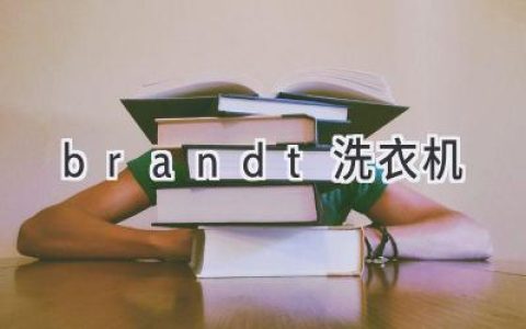 Brandt 洗衣机：高效清洁衣物的理想之选