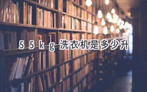 洗衣机容量大揭秘：5.5公斤究竟能装多少衣服？