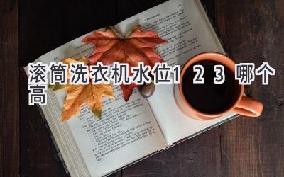 滚筒洗衣机水位123哪个高