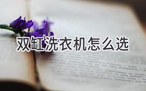 双缸洗衣机选购指南：轻松搞定衣物清洁