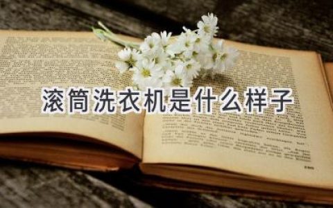 揭秘滚筒洗衣机：外观、结构与运作原理