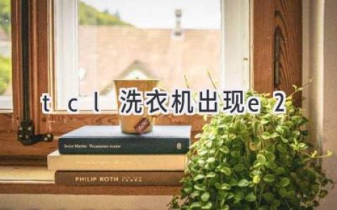 TCL洗衣机故障代码E2：解析及解决方案