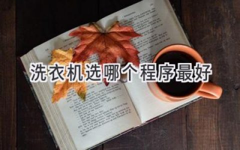 洗衣机程序大揭秘：如何选择最适合你的洗涤模式？