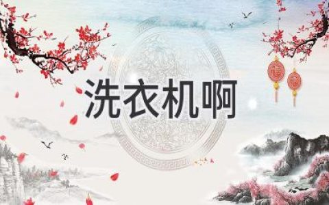 洗衣机清洗大揭秘：告别污垢，让你的衣物更洁净