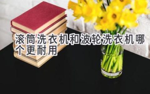 揭秘：洗衣机界耐用之王，究竟是滚筒还是波轮？