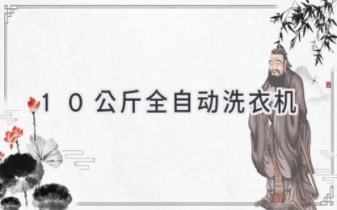 10公斤洗衣机大比拼：哪款最适合你的家庭？