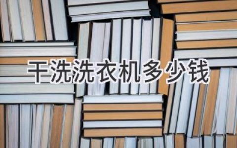 干洗店投资必看！揭秘干洗机价格，帮你选购性价比之王！