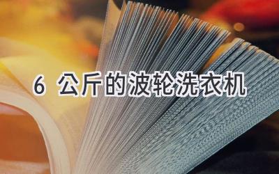 6公斤的波轮洗衣机