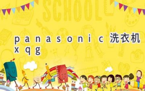 探索科技与舒适的完美融合：Panasonic 洗衣机的创新之选