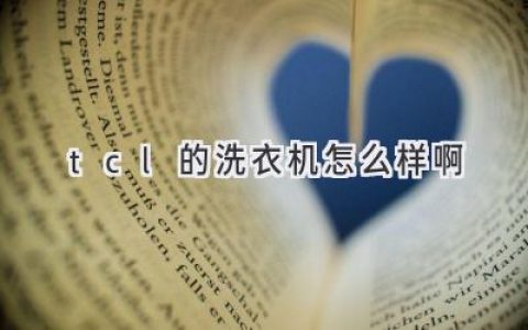 TCL洗衣机值得入手吗？性能、功能、价格全方位解析