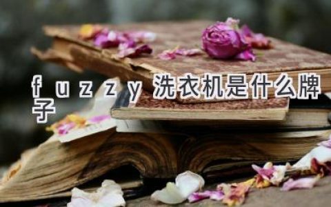 智能洗衣新体验：揭秘模糊控制技术背后的品牌