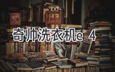 奇帅洗衣机e4