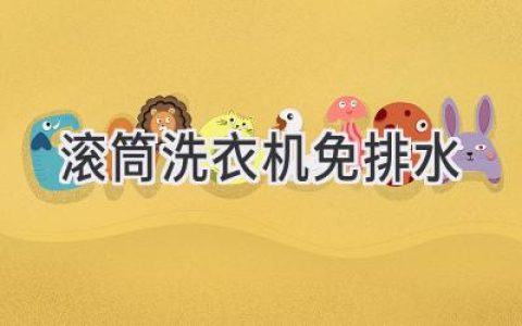 告别繁琐，洗衣新体验：滚筒洗衣机无需排水的神奇秘诀