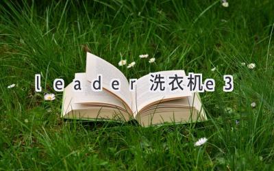 leader洗衣机e3