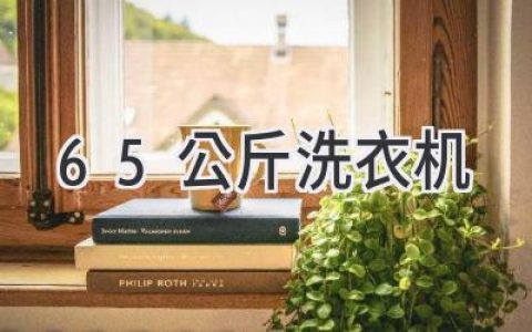 小户型福音！精致生活从6.5公斤洗衣机开始