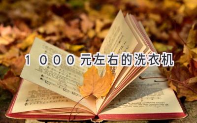 1000元左右的洗衣机