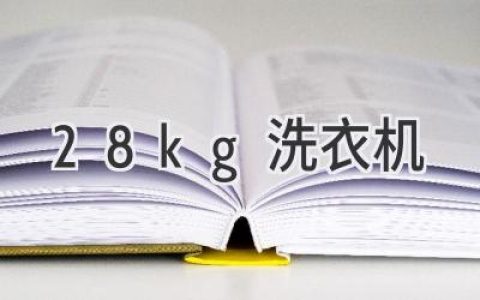 小空间的洗衣利器：2.8kg洗衣机选购指南