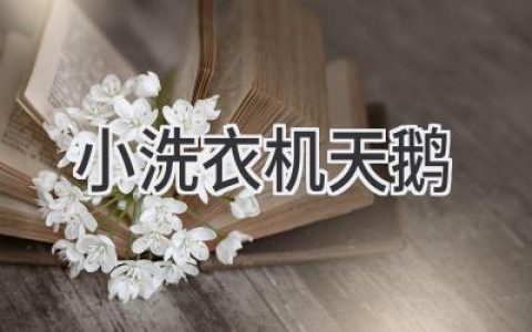 天鹅小洗衣机：精致生活，从细节开始