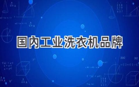 洗涤新纪元：探寻中国工业洗衣机品牌的领先力量